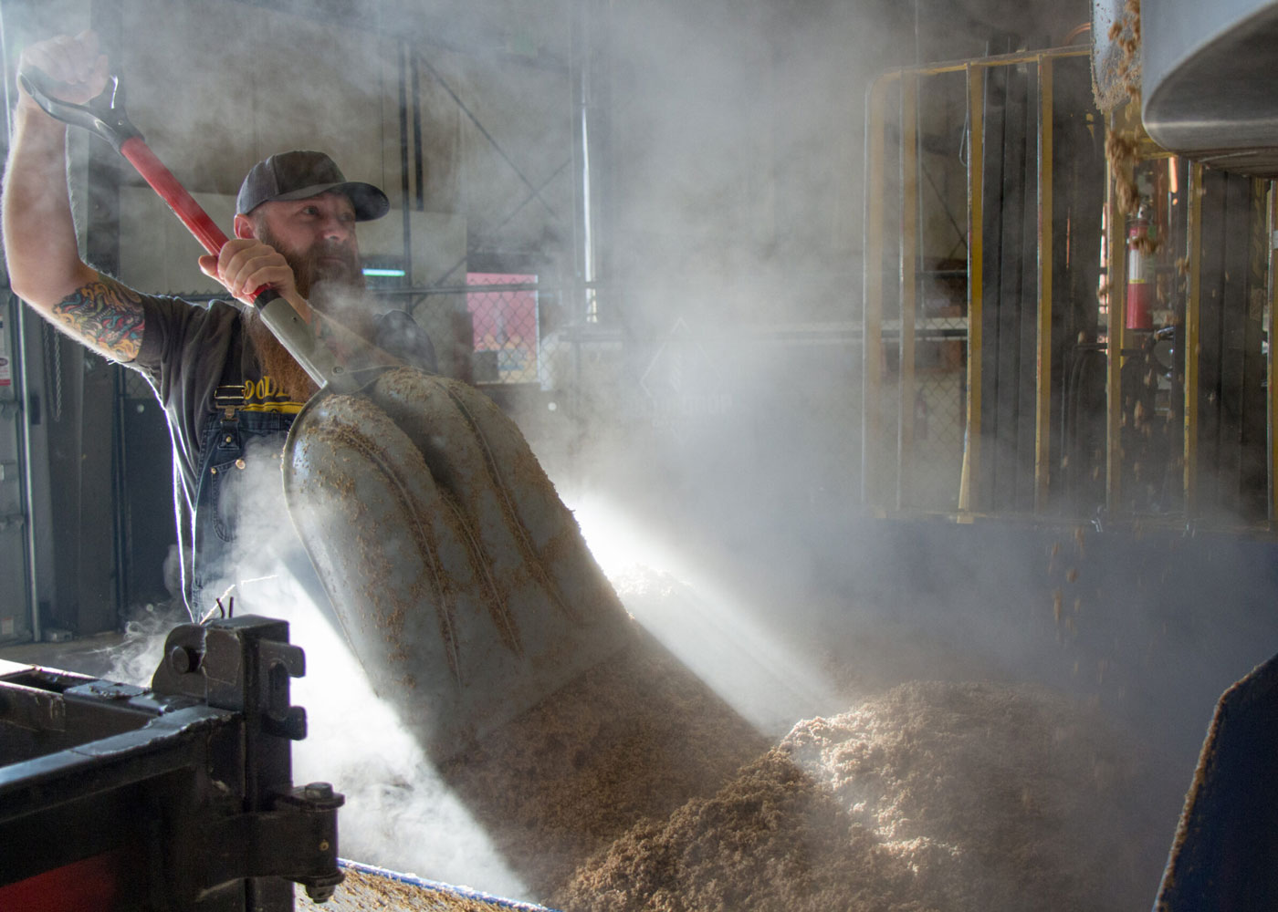 Man shoveling hops in brewery